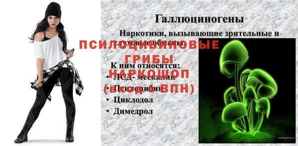 не бодяженный Алексин