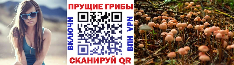 Псилоцибиновые грибы прущие грибы  Билибино 